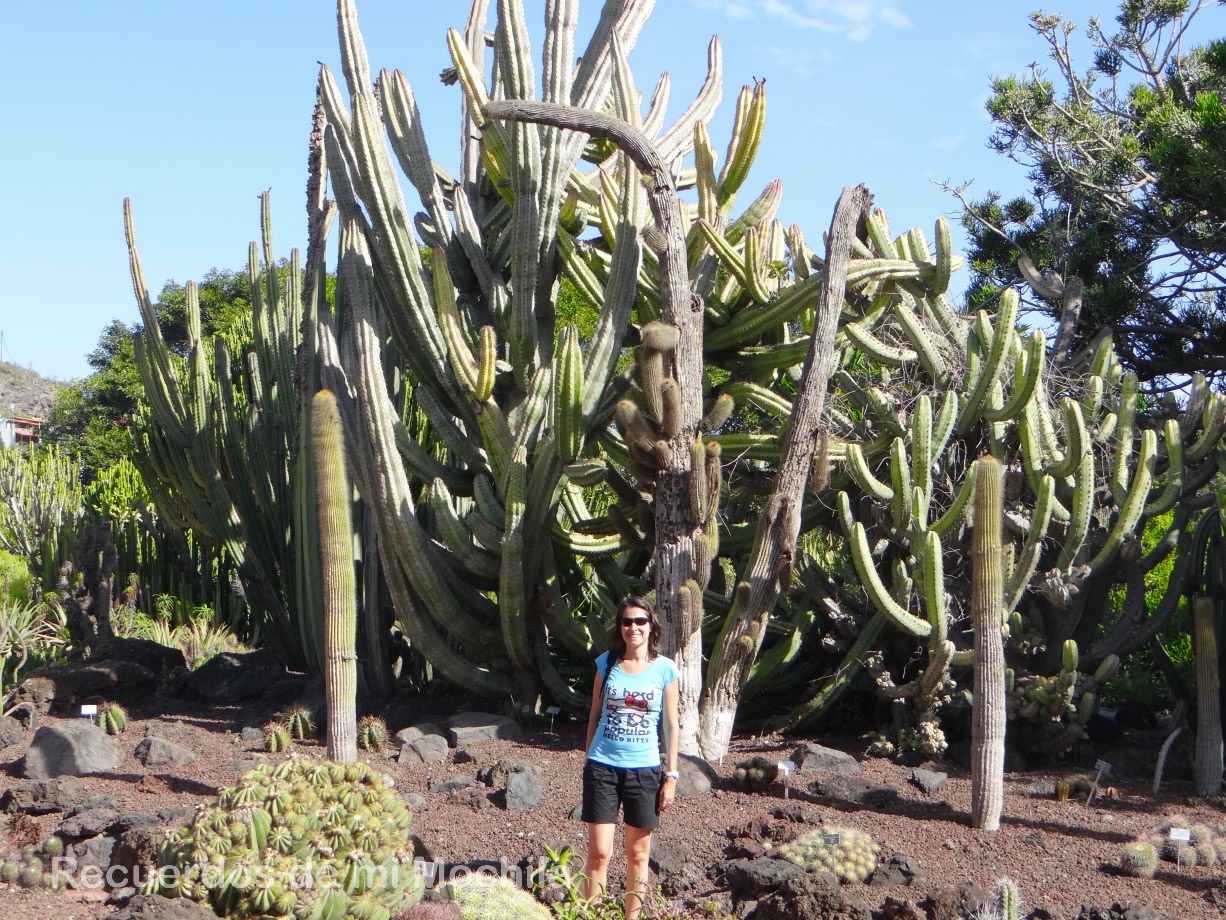 Gran Canaria en una semana