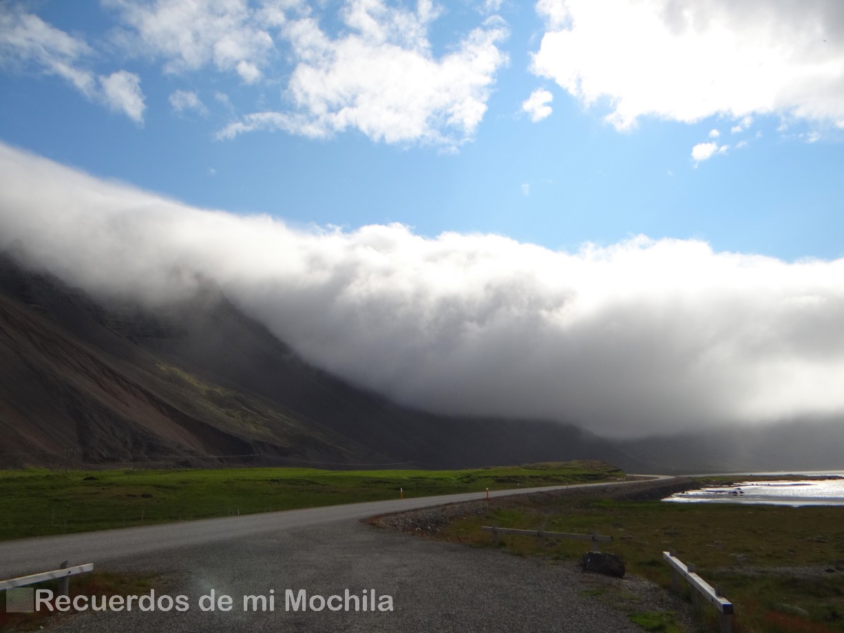 Puffin en Islandia