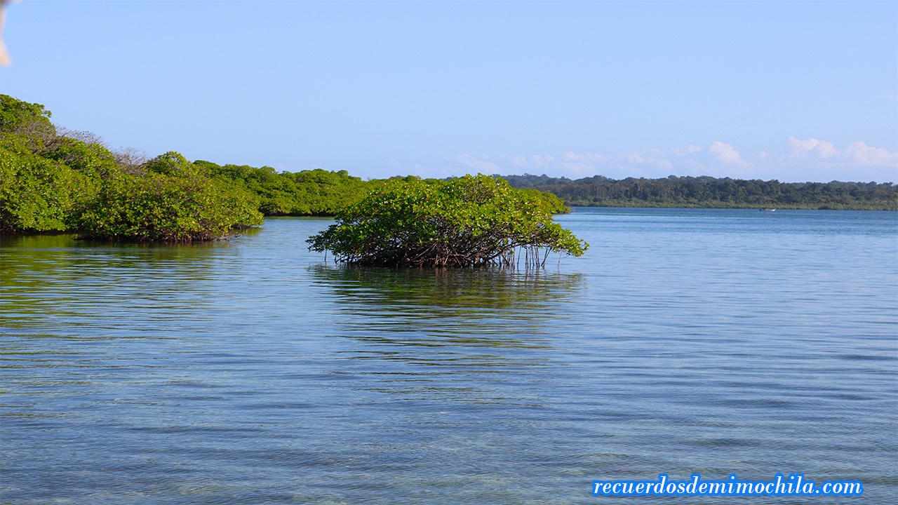excursión a cayo zapatilla