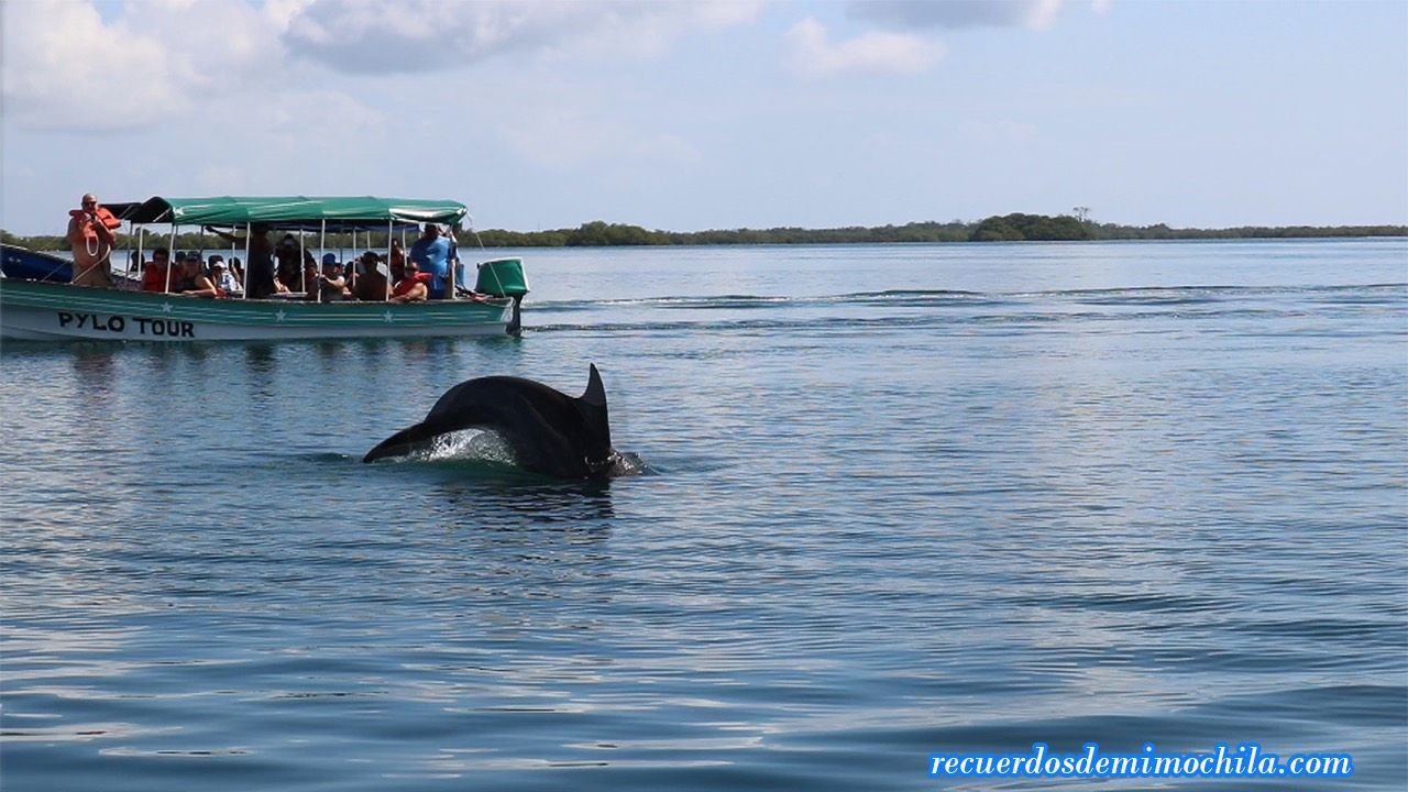 excursión a cayo zapatilla