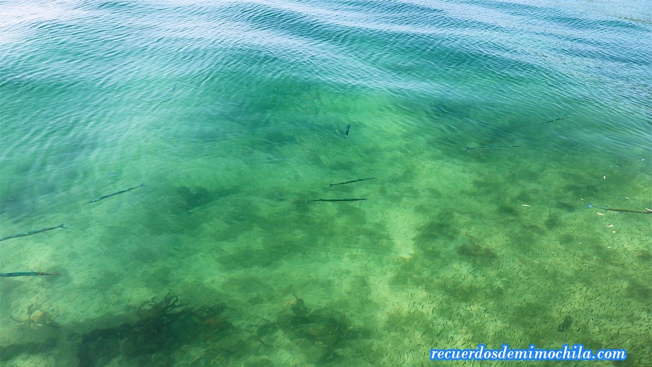 excursión a cayo zapatilla