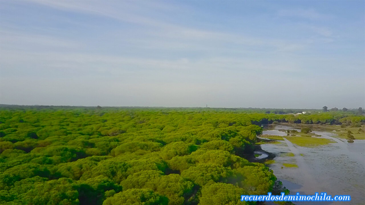 Sanlúcar de Barrameda y el PN Doñana