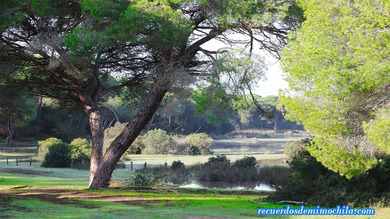Sanlúcar de Barrameda y el PN Doñana