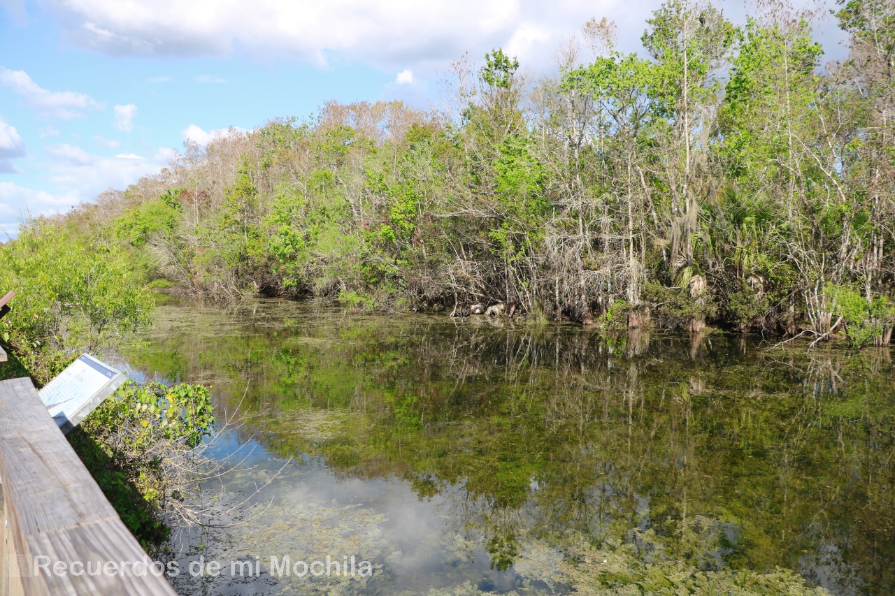 Everglades
