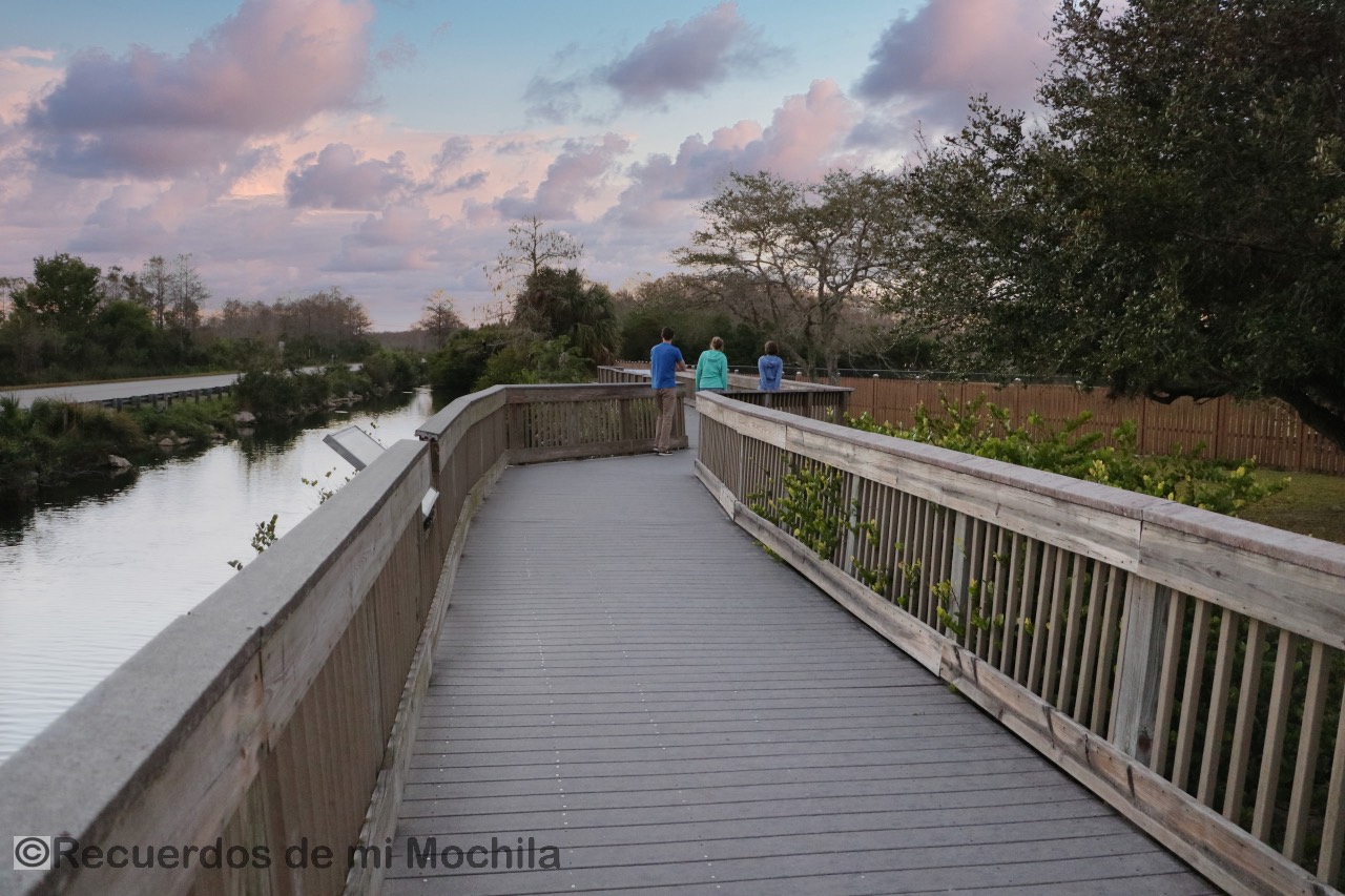 Everglades