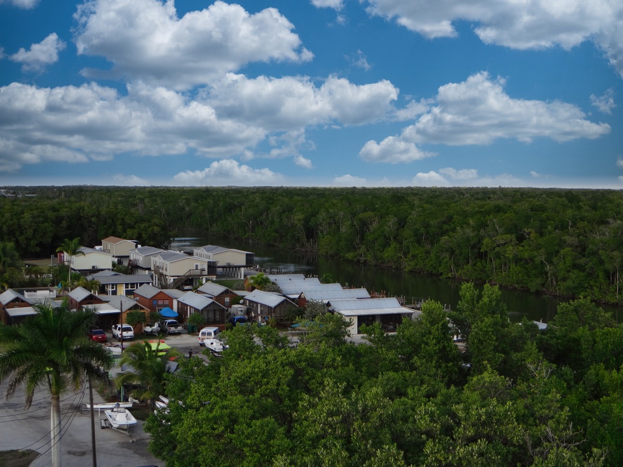 Everglades