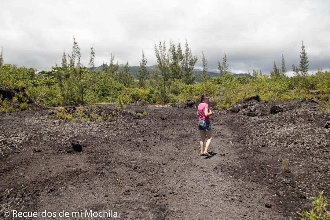 Isla reunión en 5 días