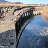 Visita a las Tablas de Daimiel