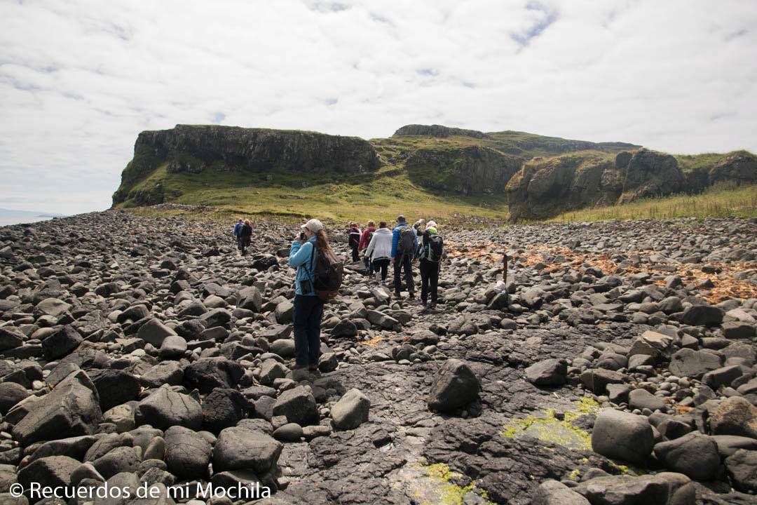 isla staffa y Lunga