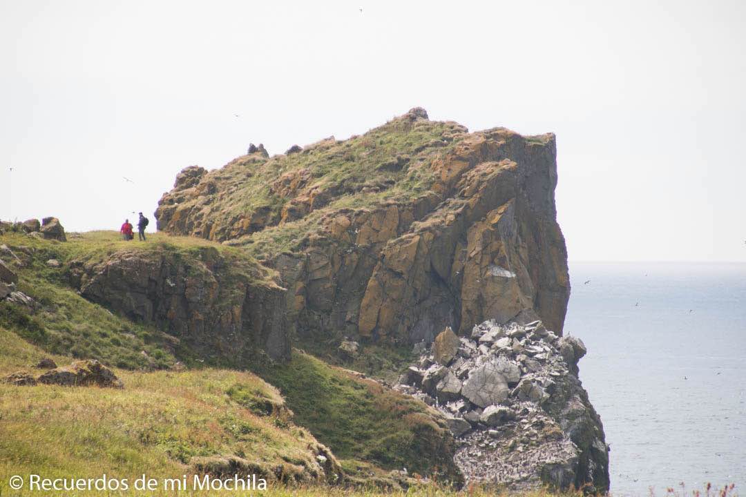 isla staffa y Lunga