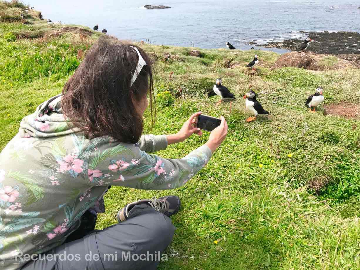 isla staffa y Lunga