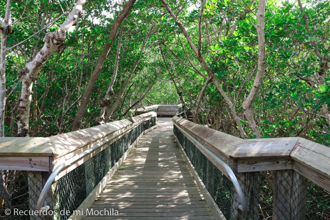 carretera de los cayos de florida
