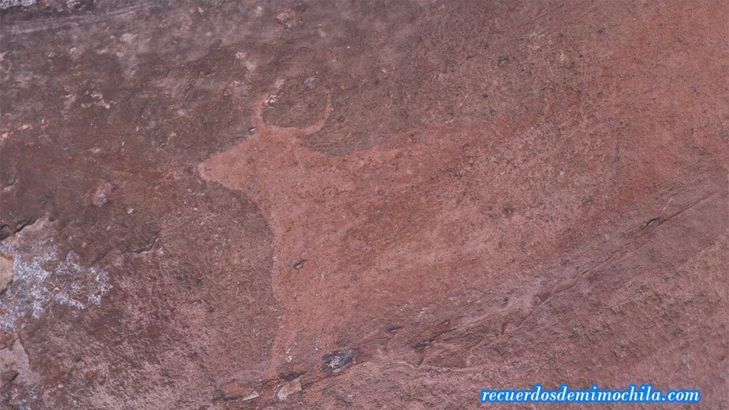 Pinares de Rodeno o Parque Cultural de Albarracín
