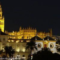 Hay que tomarse un descanso bajo los naranjos antes de terminar la visita; aquí nos relajamos viendo las fuentes y con las vistas de la catedral tras las hojas de los naranjos.
