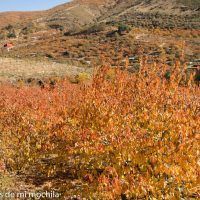 Valle del Jerte otoñada