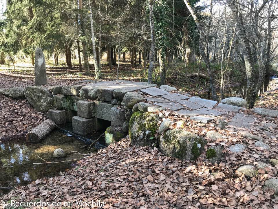Bosque Finlandés en Rascafría