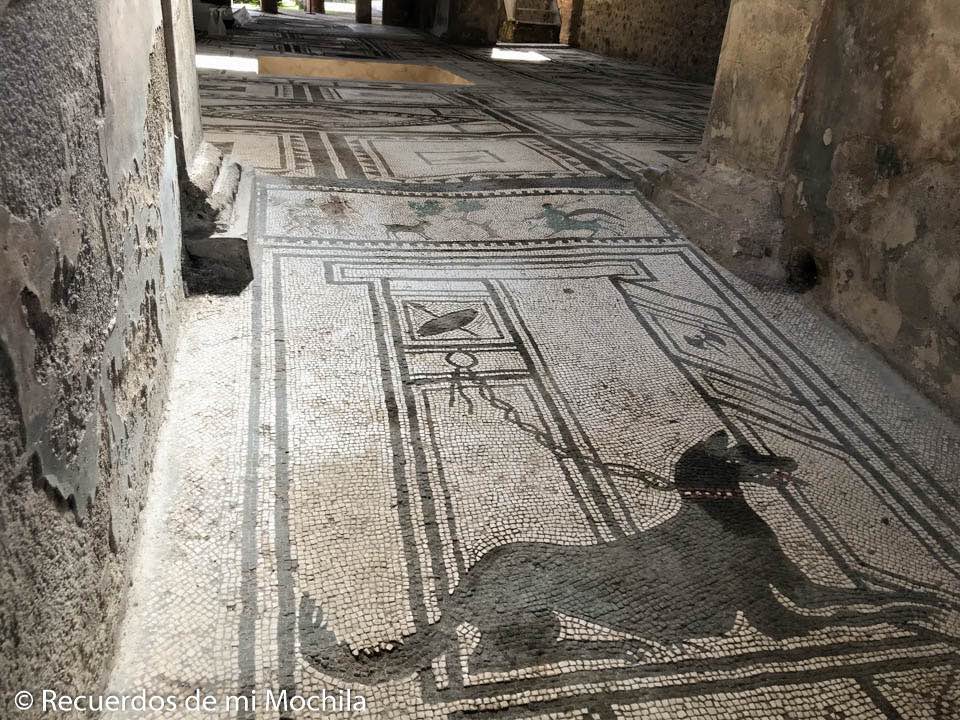 Pompeya en un día