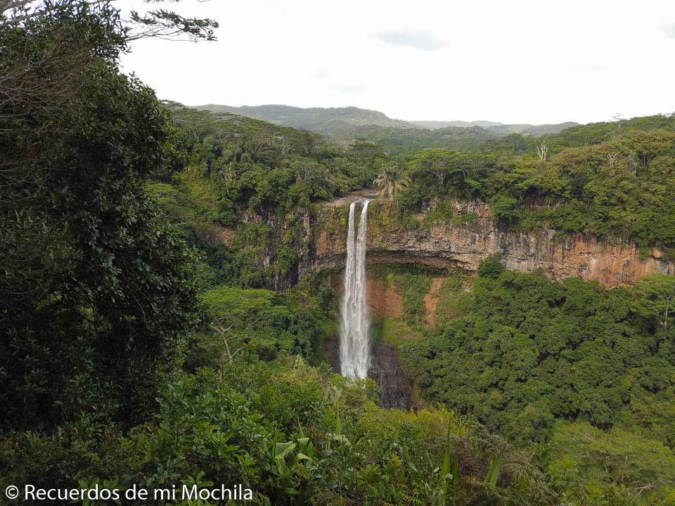 Mauricio
