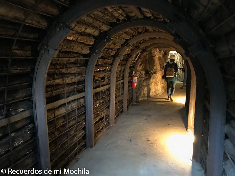 Mina de Costanaza