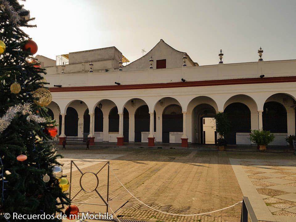 Carmona en un día