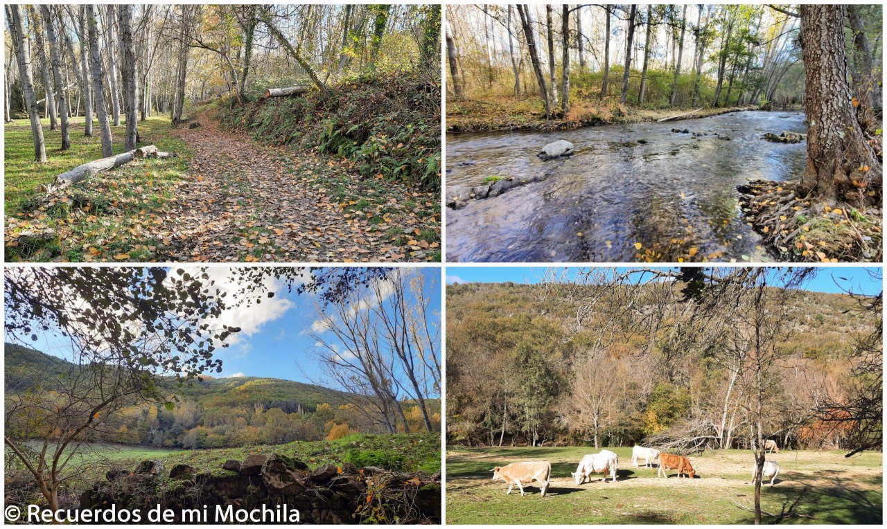 Montemayor del Río