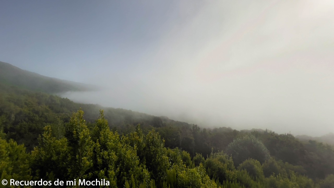 Miradores de La Palma