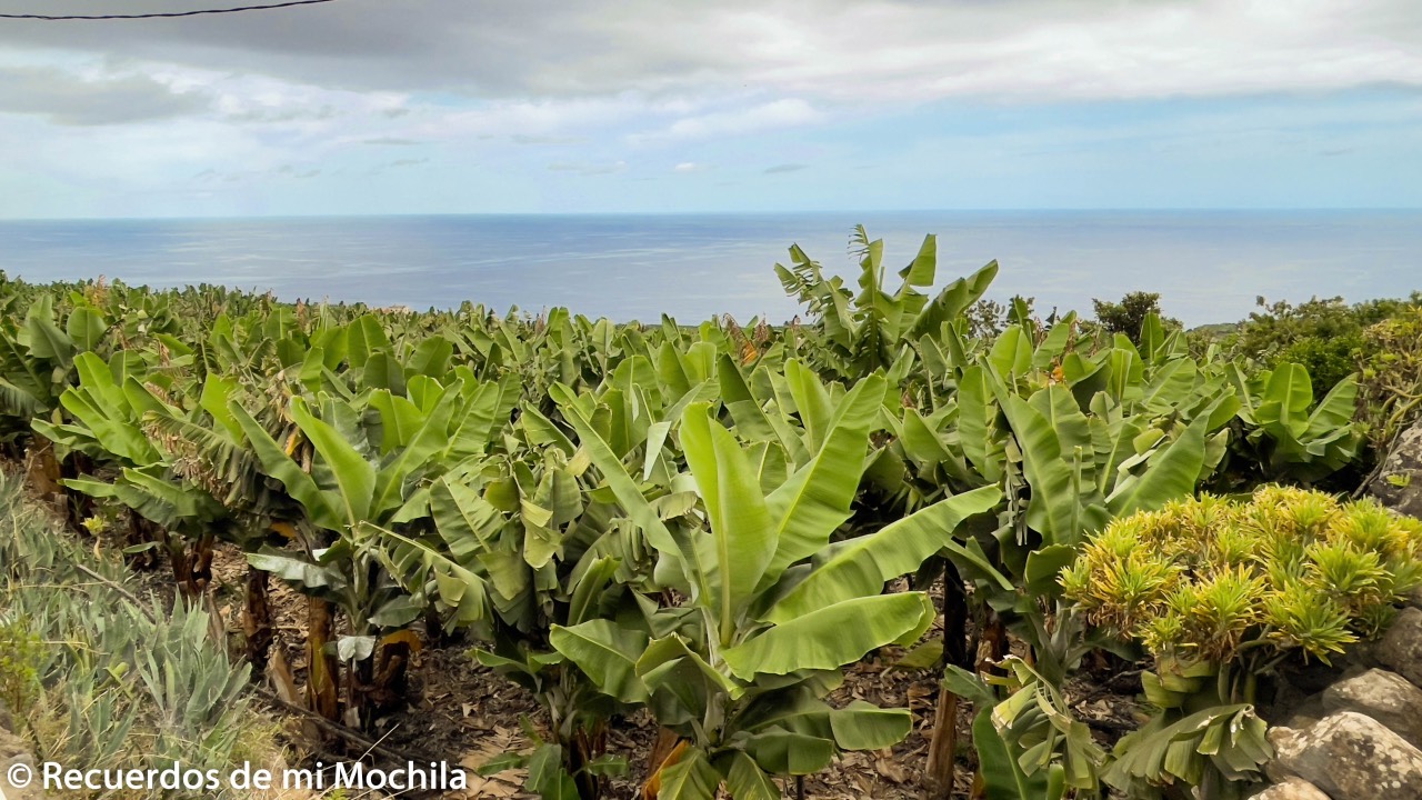 San Andrés en La Palma