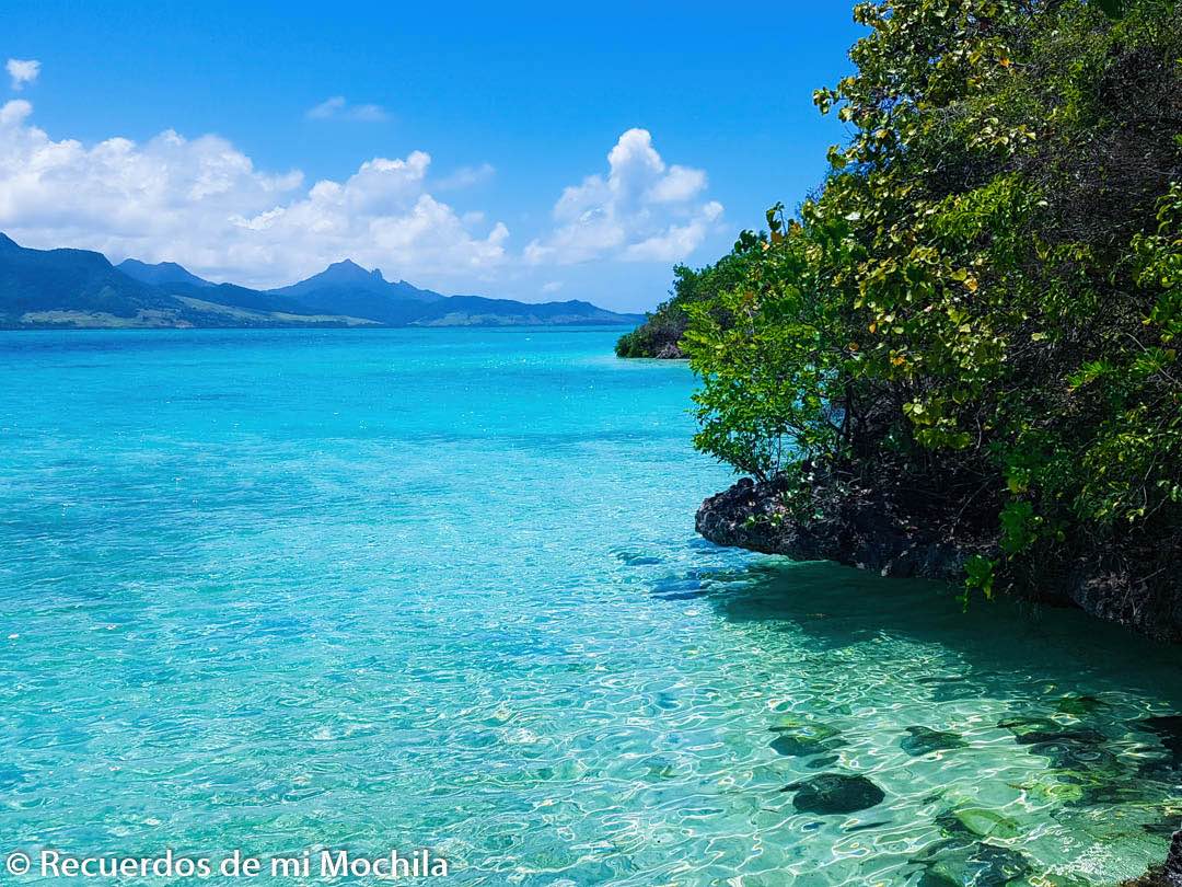 Ile aux Aigrettes