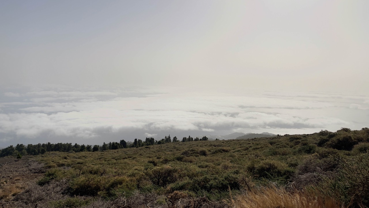 Roque de los Muchachos
