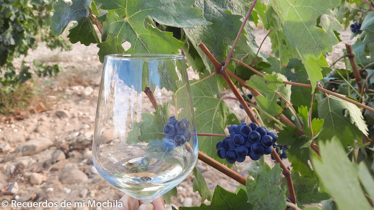 Ruta del Vino de Toro