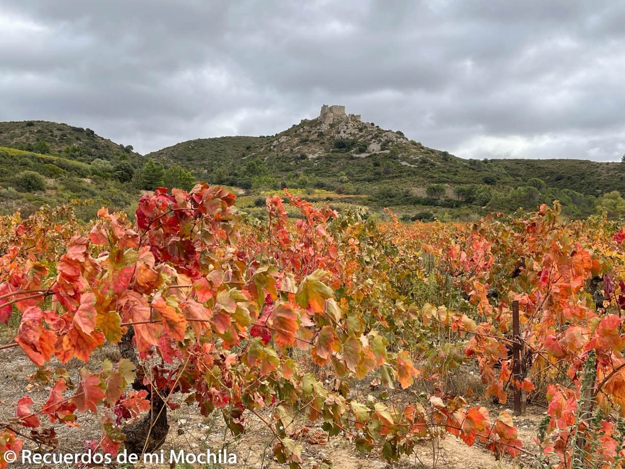 Castillos Cátaros