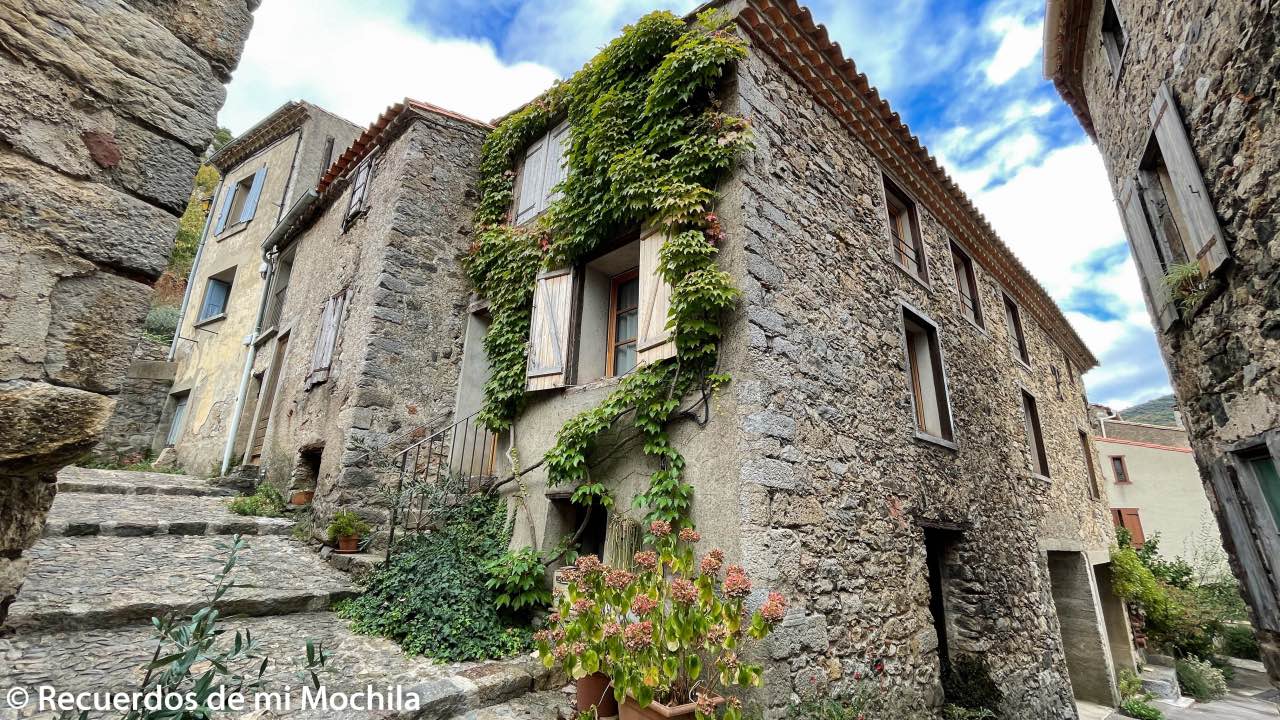 Termes