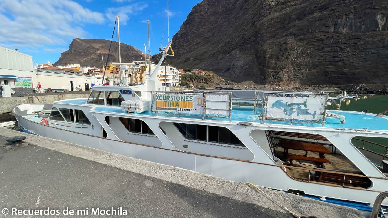 Cetáceos en La Gomera