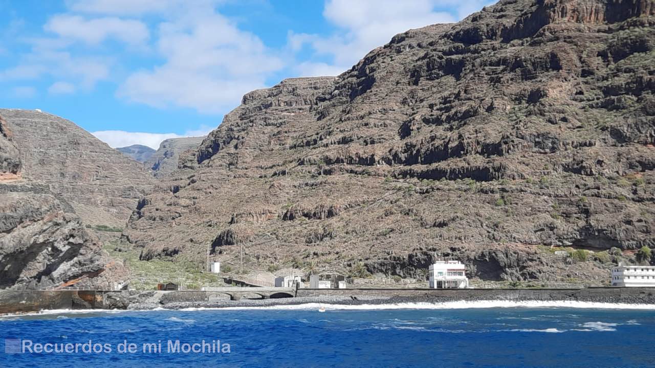 Cetáceos en La Gomera