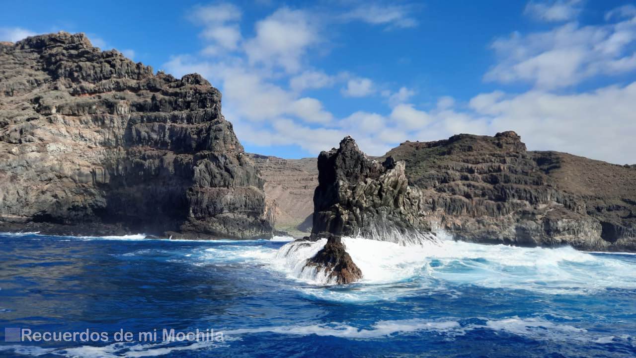 Cetáceos en La Gomera