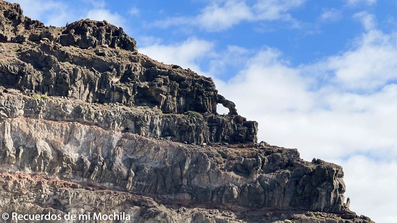 Cetáceos en La Gomera