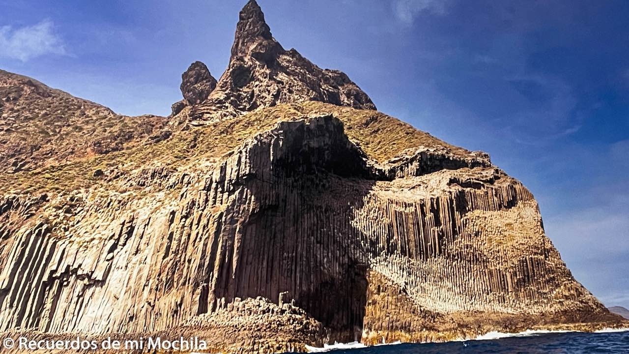 Cetáceos en La Gomera