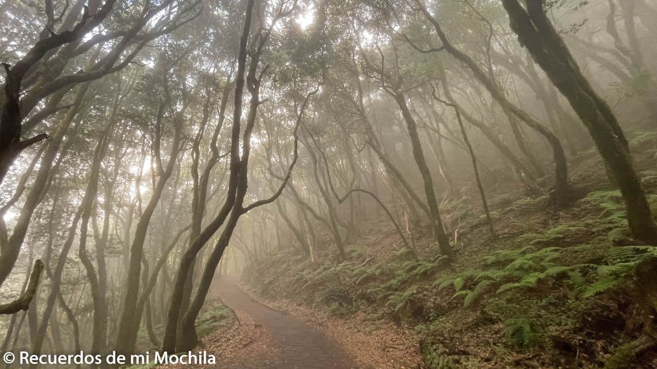que ver en la gomera