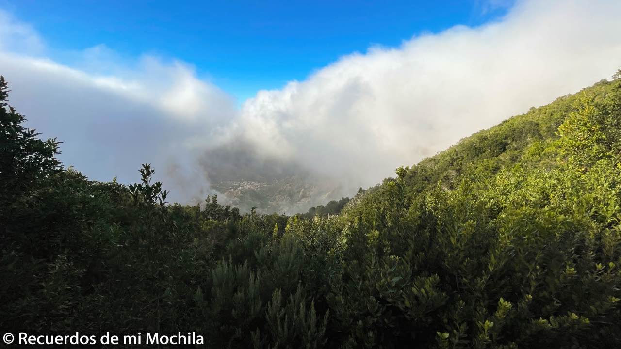 Miradores de La Gomera