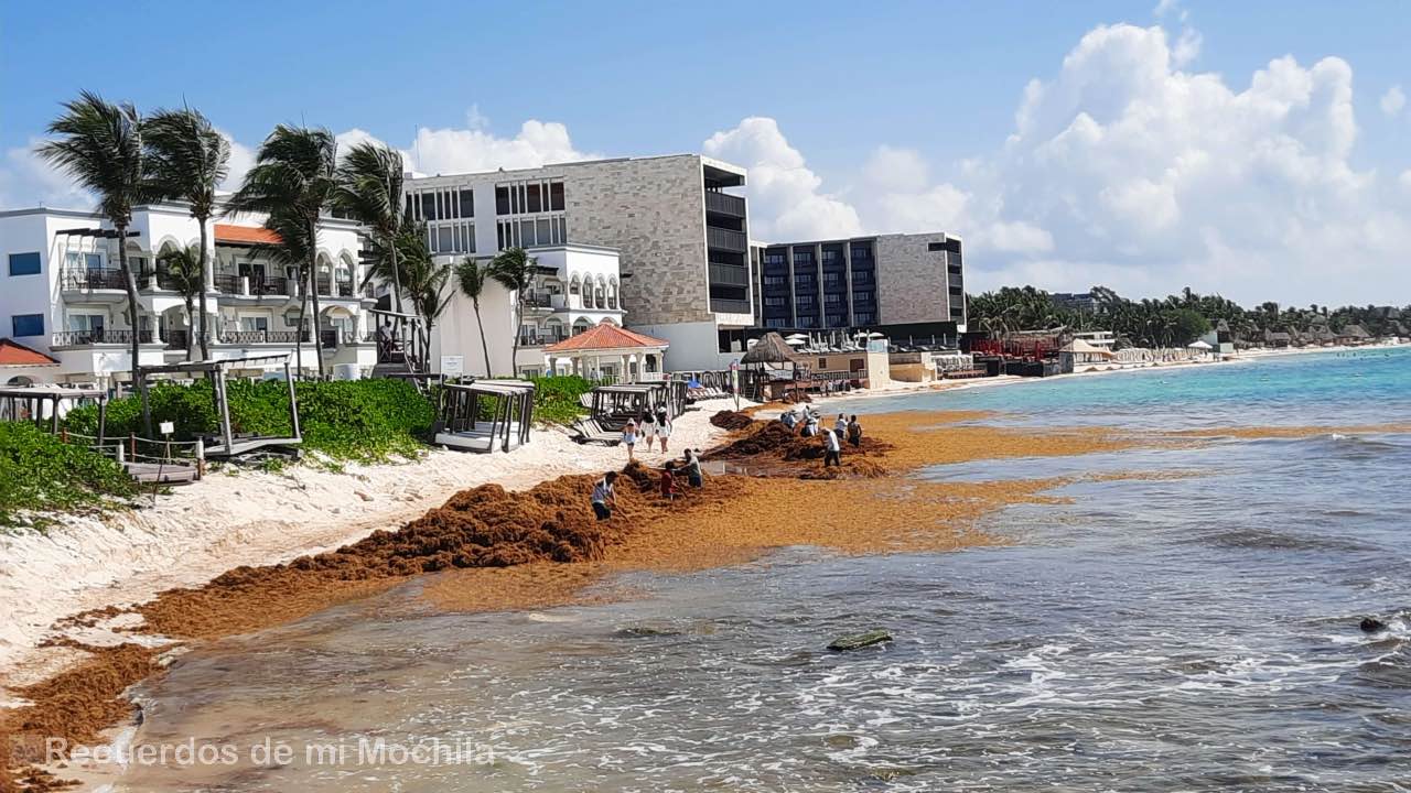 Playa del Carmen