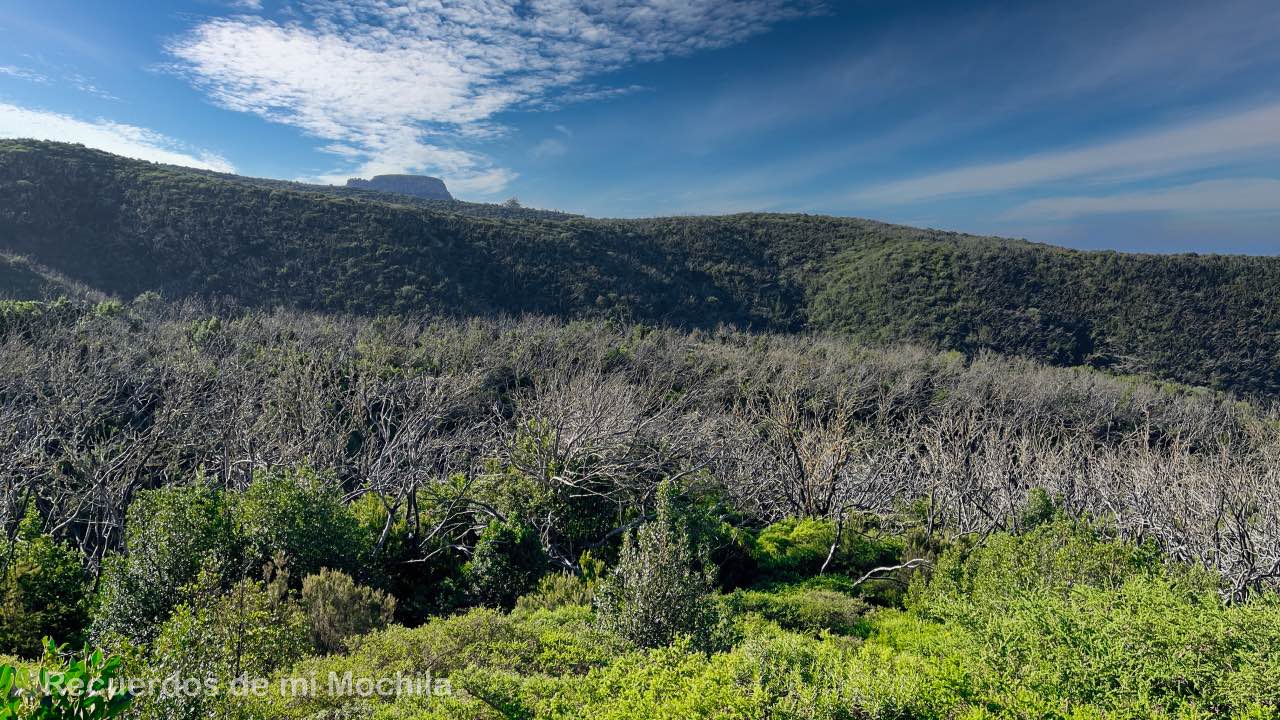Miradores de La Gomera