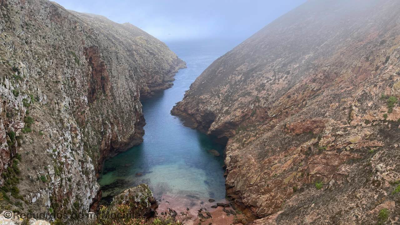 islas Berlengas