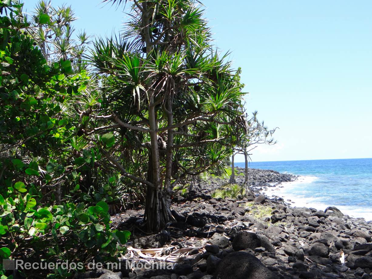 Anse des Cascades