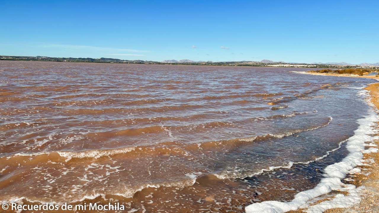 laguna rosa de Torrevieja