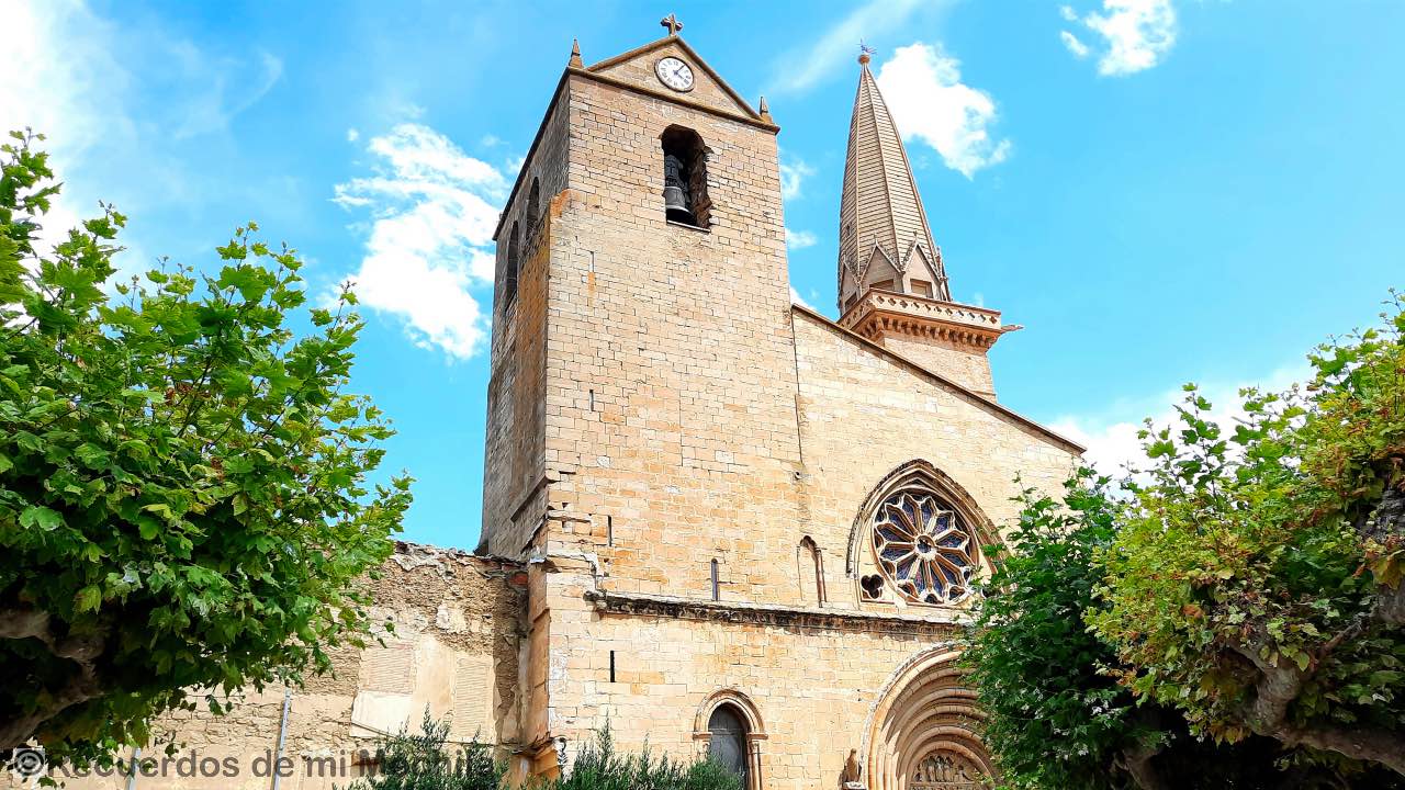 Olite