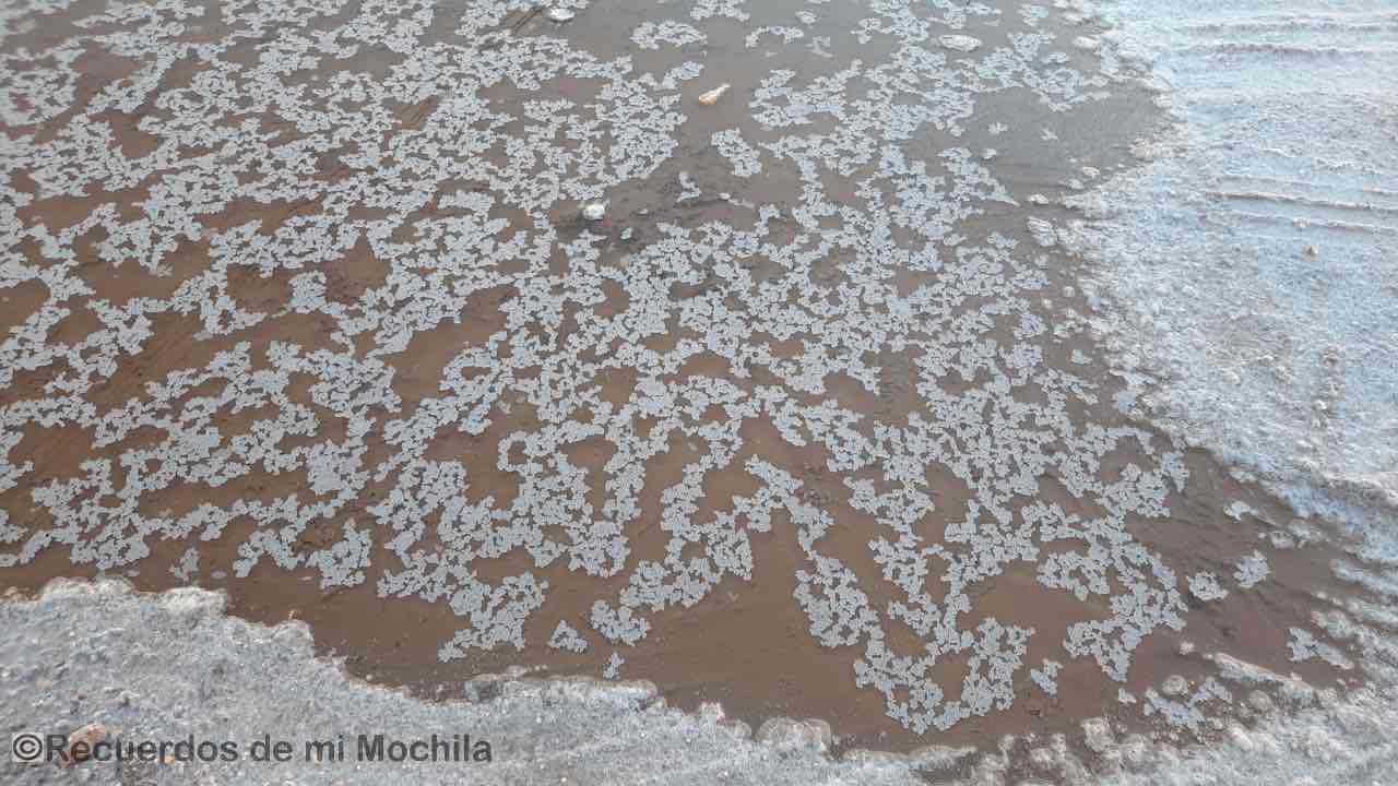 Salinas de Imón