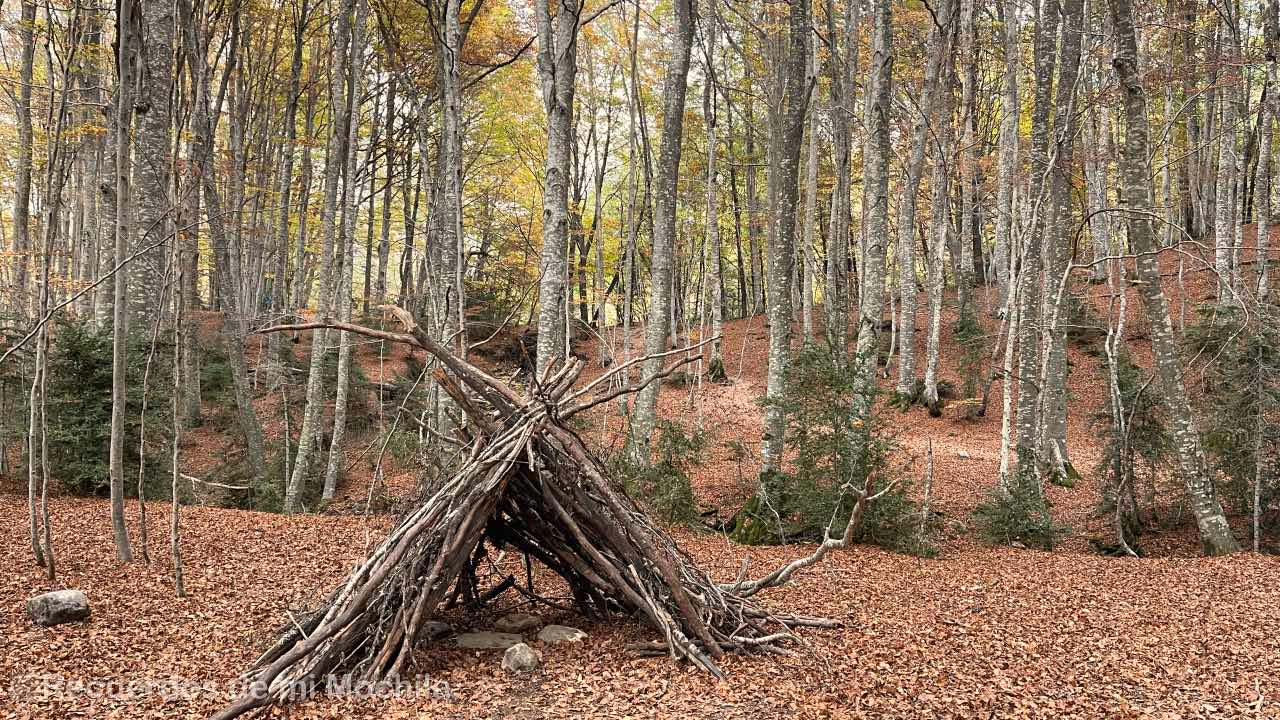 Bosque de Betato