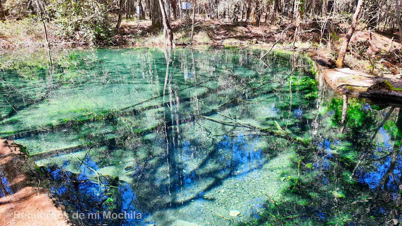 Ecoturismo en la Sierra de Albacete