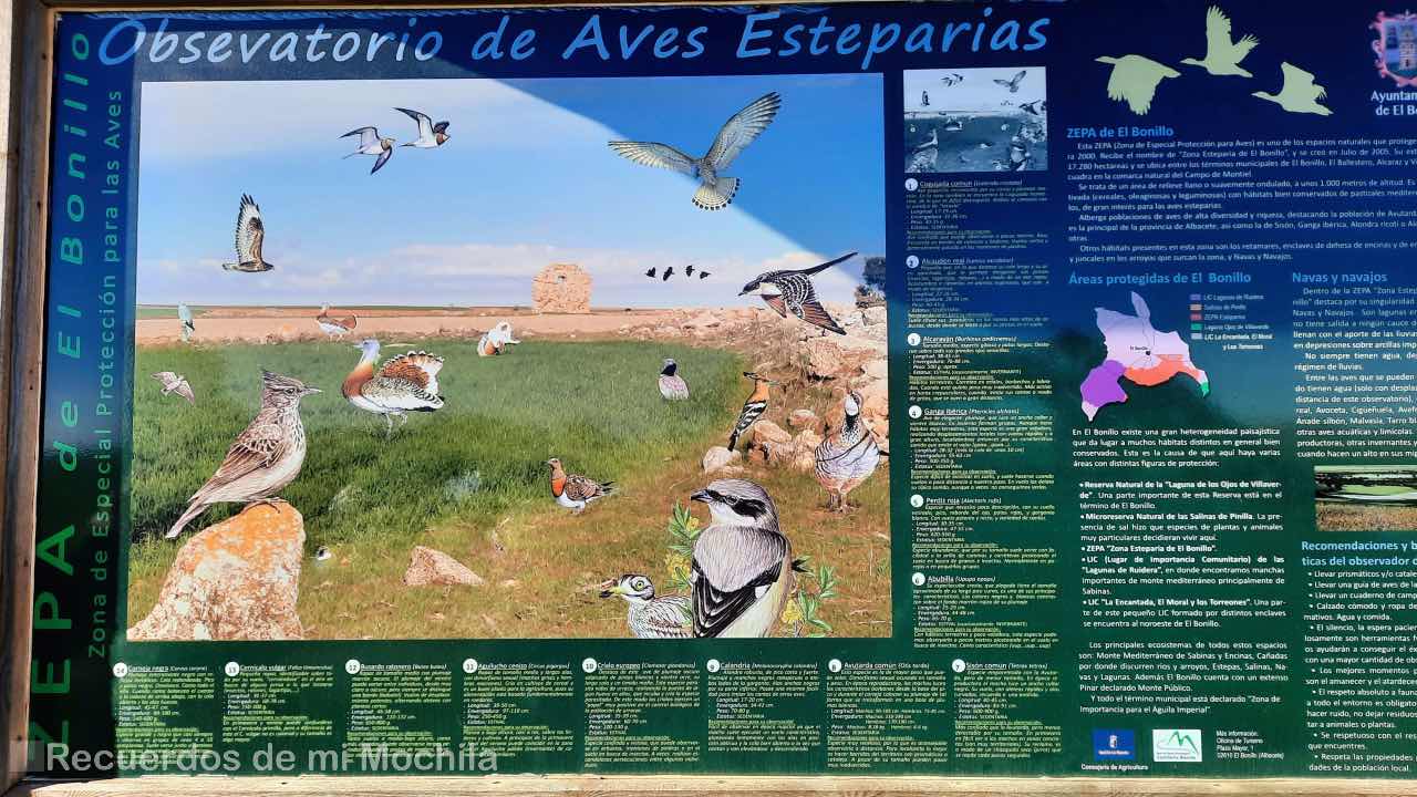 Ecoturismo en la Sierra de Albacete