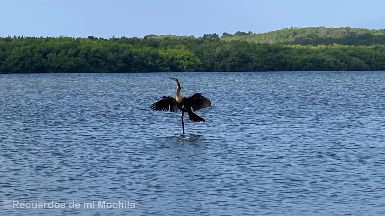 Laguna Guanaroca